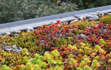 the cost of Little Clacton green roof installation